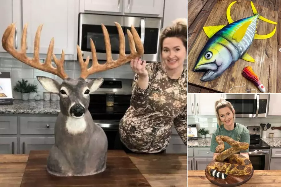 Texas Baker Makes Amazingly Realistic Animal Cakes
