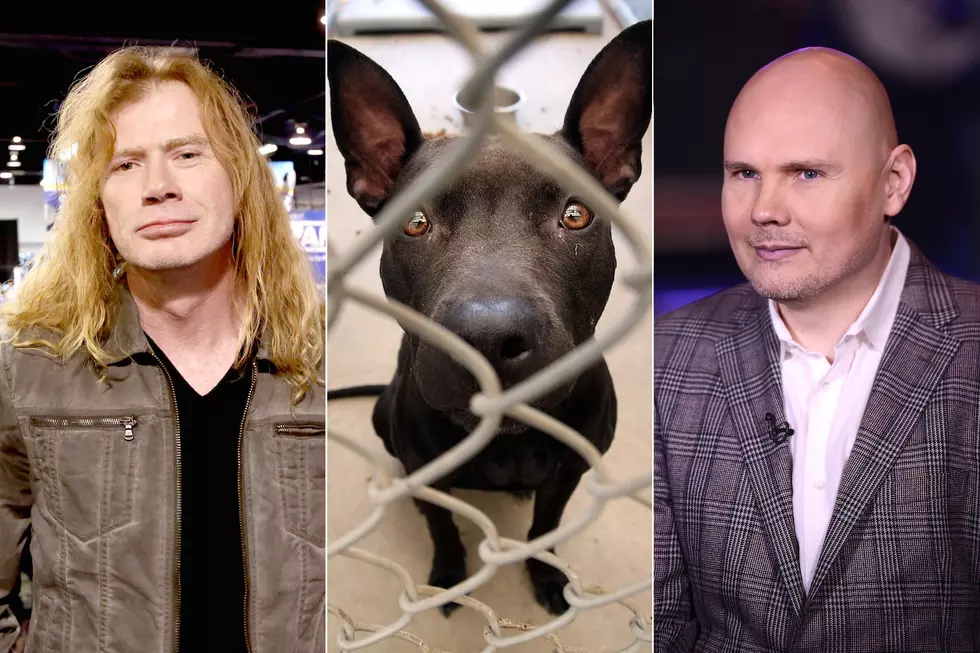 10 Rockers Who Rescue Animals