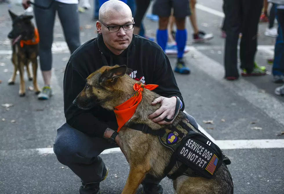 MSU Study Reveals Our Dogs Become Us