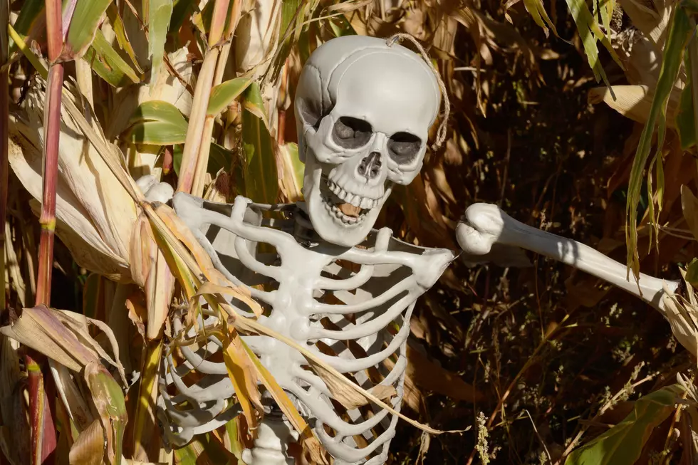 The Best Way To Celebrate Halloween Is With Pole Dancing Skeletons