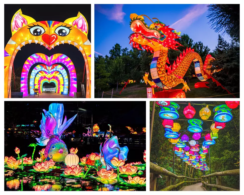 It’s Back! Hugely Popular Lantern Festival Returns to Grand Rapids This Spring