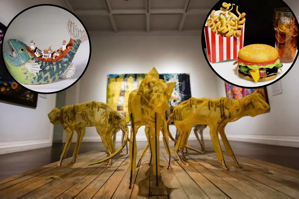 New Oddities and Delights Exhibition Opens at West Michigan Museum