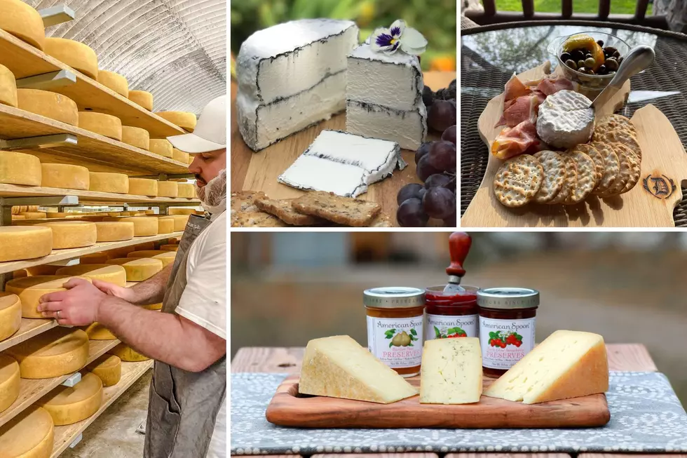Two Michigan Cheesemakers Earn Top Honors at World Cheese Awards