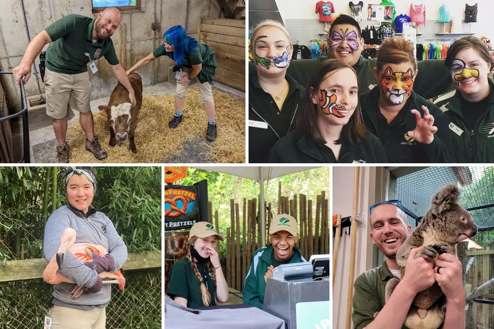 Work at the Zoo! John Ball Zoo in Grand Rapids Is Now Hiring