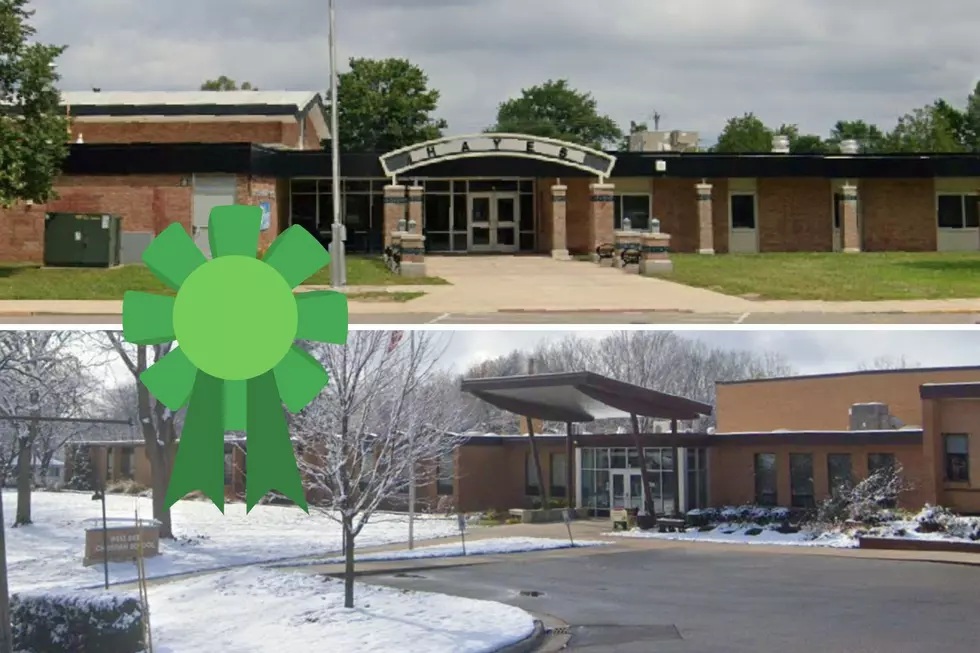 Two Michigan Schools Win Awards For Environmental Efforts