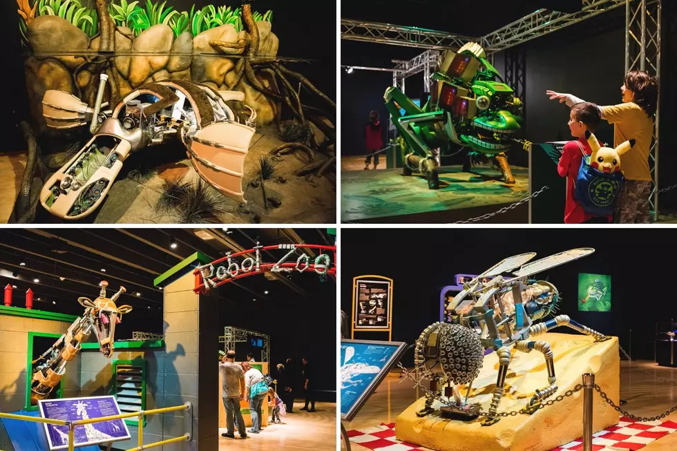 Explore The Robot Zoo, a Fascinating Exhibit with Massive Mechanical Animals Before it Leaves Grand Rapids