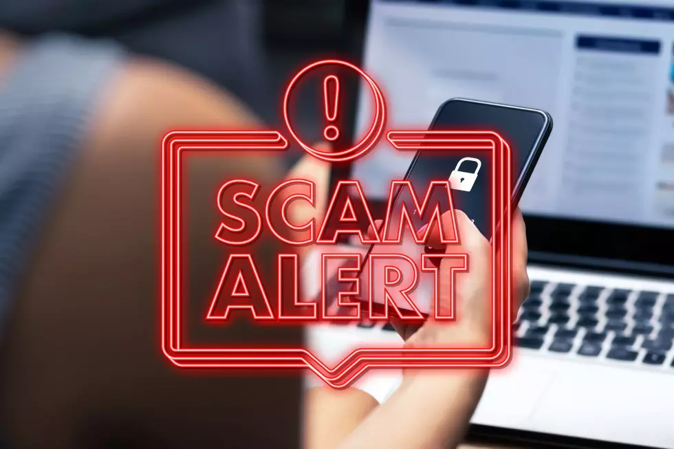Michigan, Watch Out For This New Government Imposter Scam