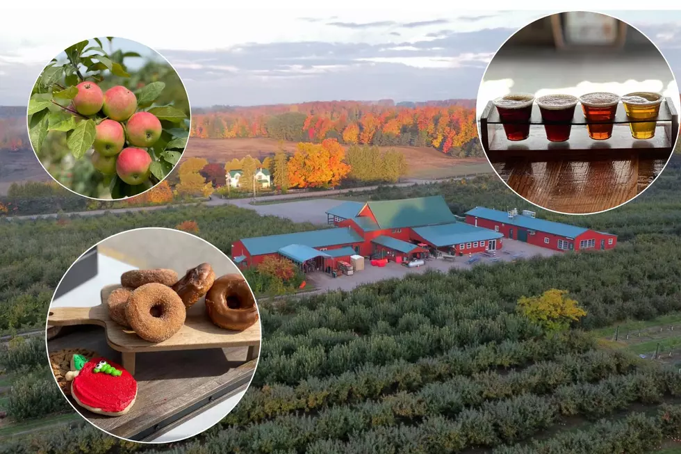 Michigan Farm Voted Among Top 5 Apple Orchards in the Country