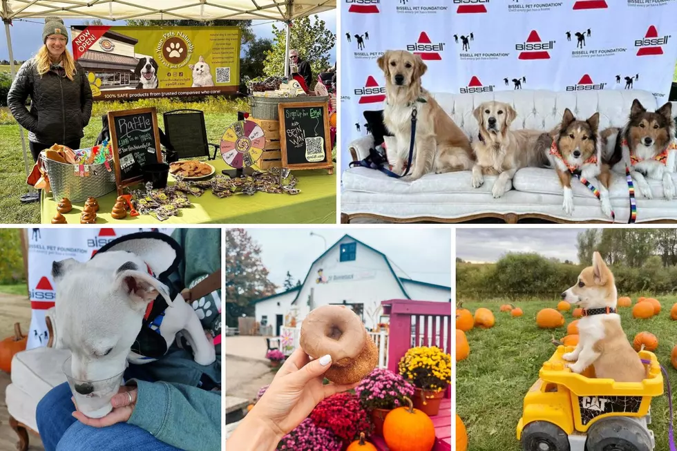 Dogs and Doughnuts – Enjoy This West Michigan Fall Fest with Your Pup