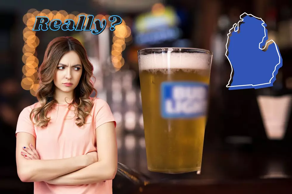 Map Shows This Is Michigan’s Top Beer – Do You Agree?