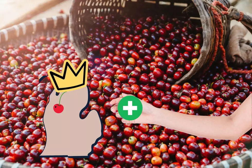 Disaster Declarations Offer Hope To Cherry Farmers In Michigan
