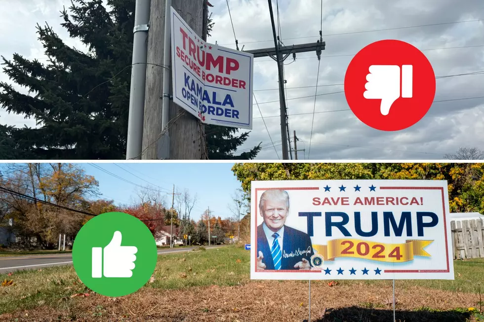 Can You Place Political Signs Anywhere In Michigan?