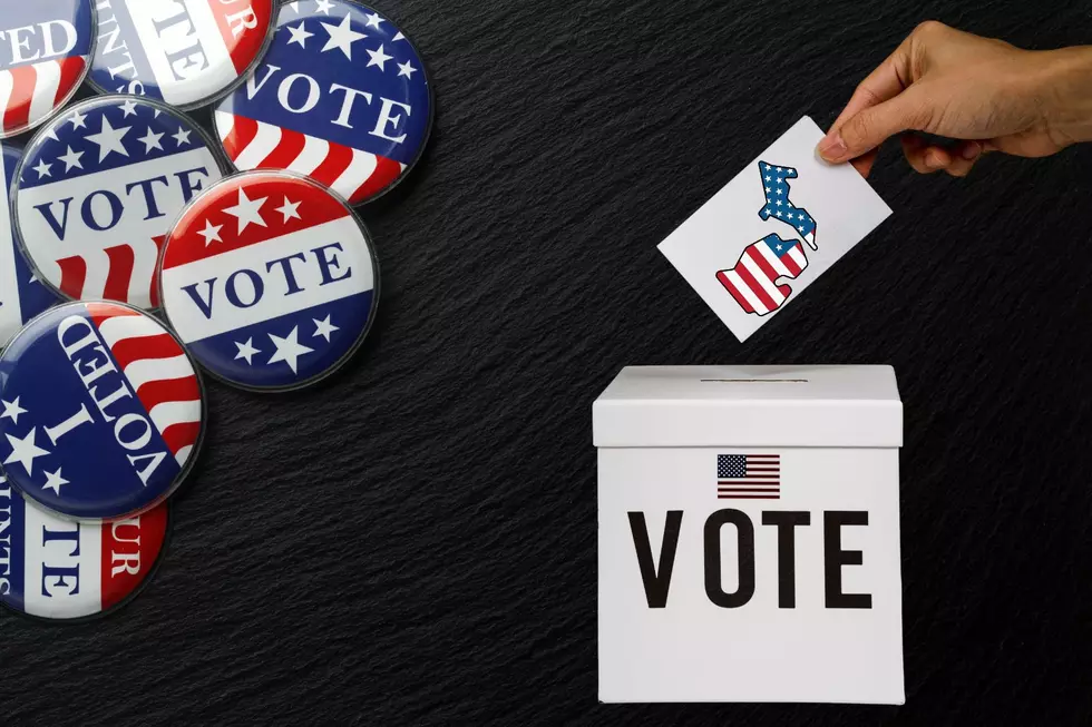 Ready to Vote? Here’s Your 2024 Michigan Voting Checklist