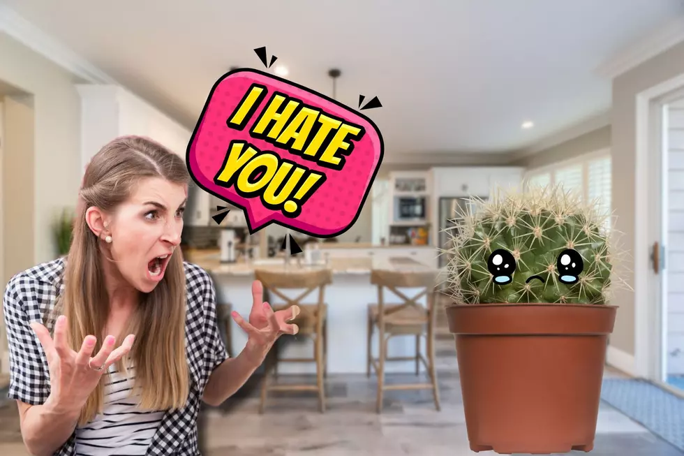 You Could Own Michigan’s Most HATED Cactus