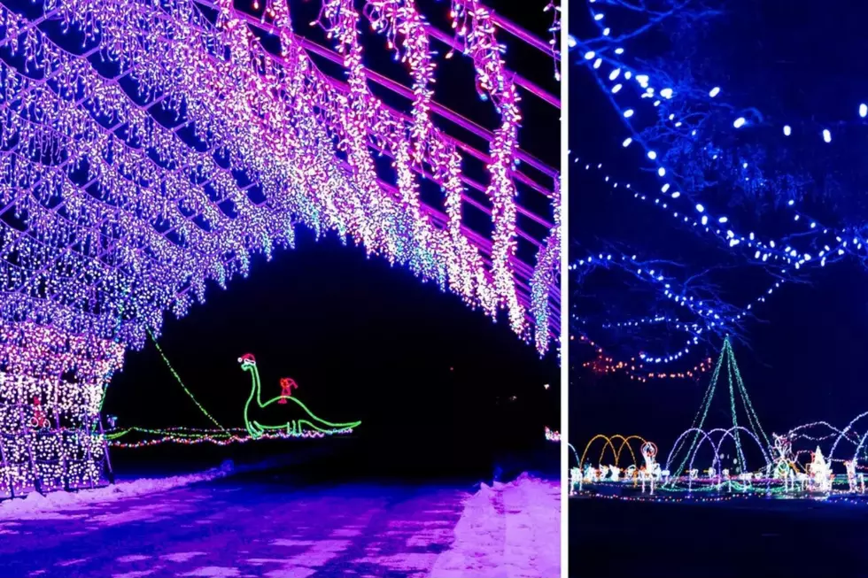 Experience Enchantment: Best Holiday Lights 2024 In West Michigan