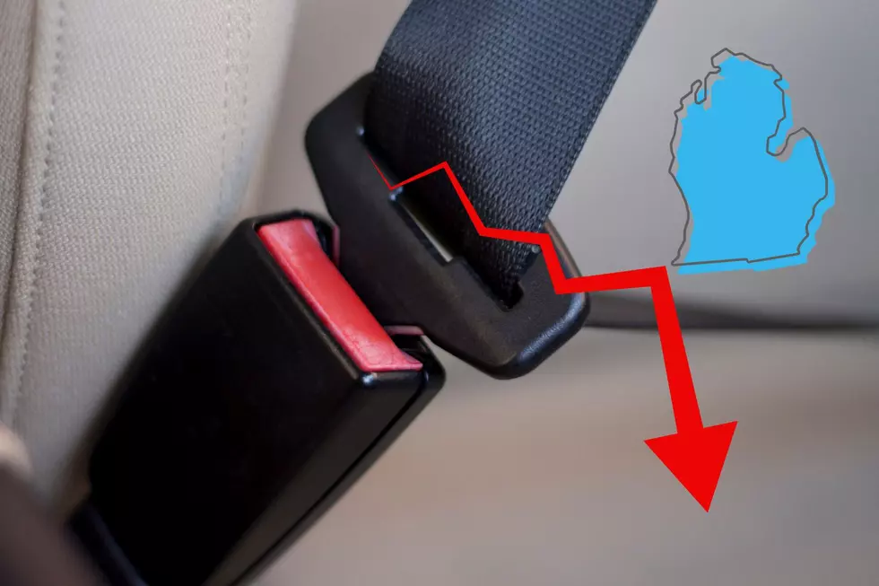 Michigan’s Anti-Seatbelt Trend Continues For Second Year In A Row