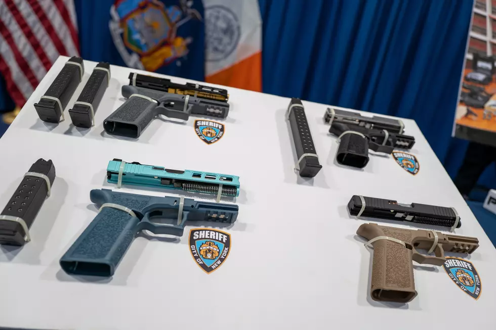 Michigan Senate’s New Legislation Will Make It ILLEGAL To Own This Type Of Gun