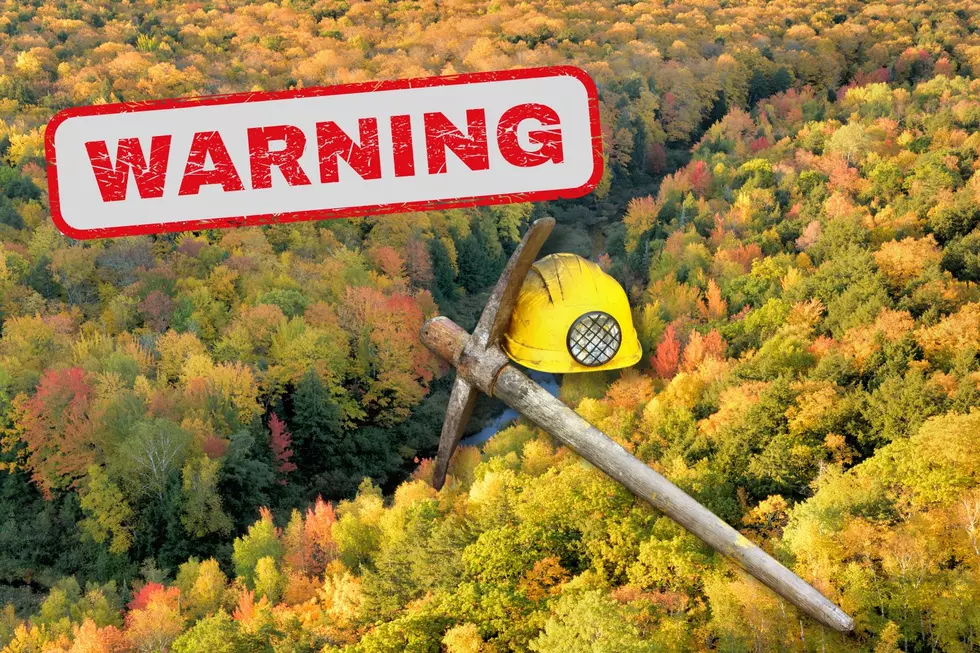 Michigan’s ‘Most Beautiful’ State Park Is In Catastrophic Danger