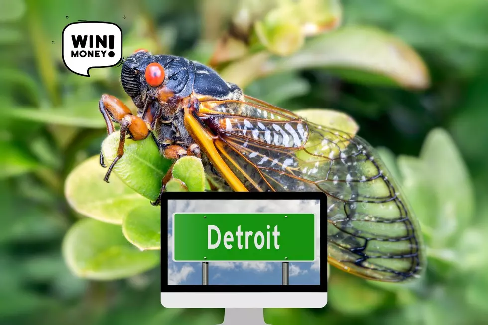 Want to Win $21,347? Solve the Cicada Detroit Puzzles