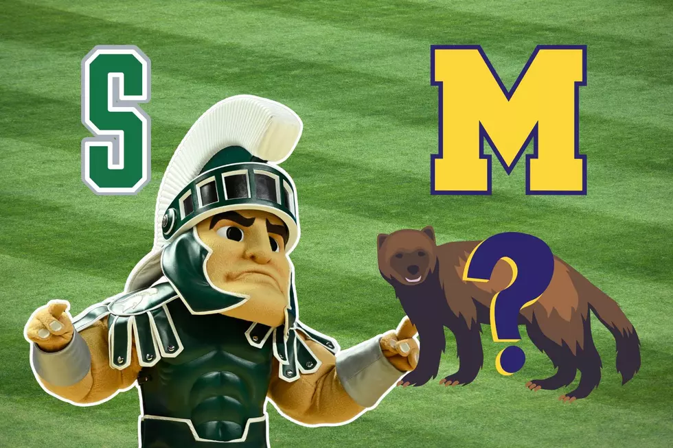 Why Michigan Has No Mascot Despite Being The ‘Wolverines’