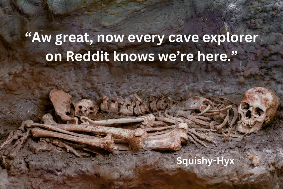 Michigan Reddit Page/canva.com