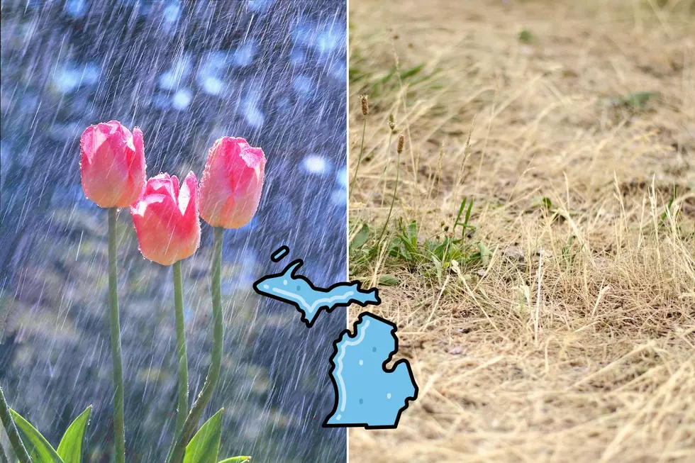 Grand Rapids Rainfall Totals Every Year Since 2000