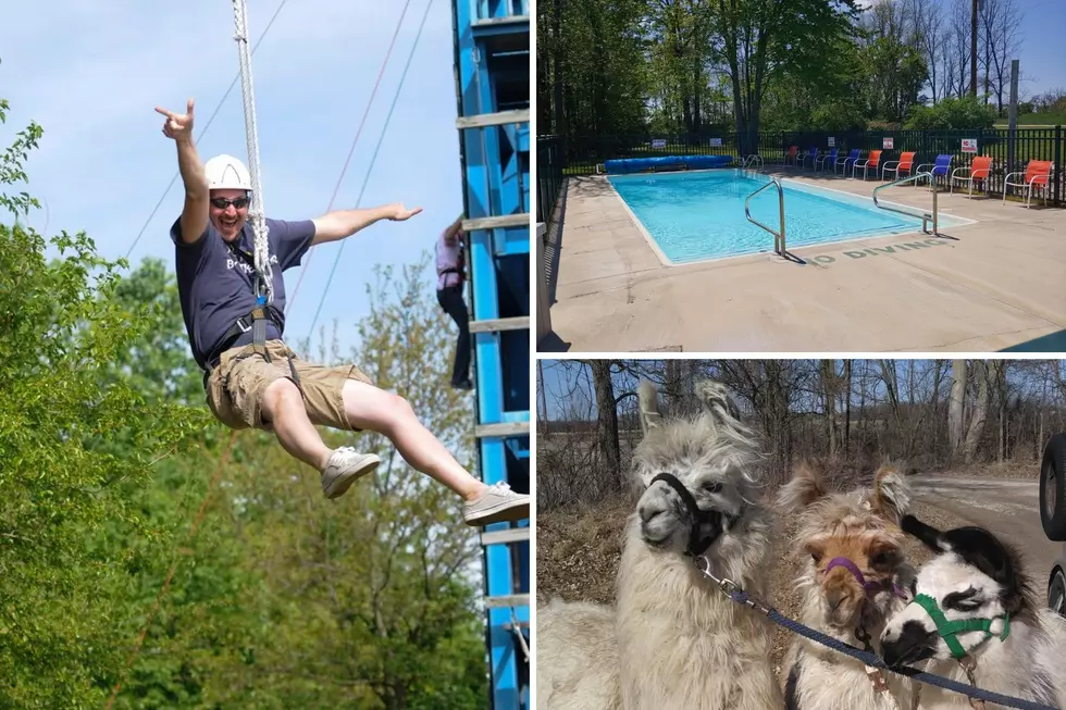 Michigan Campground with Zipline, Llamas Crowned Best in U.S.