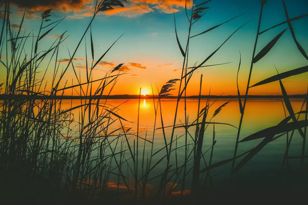 canva.com