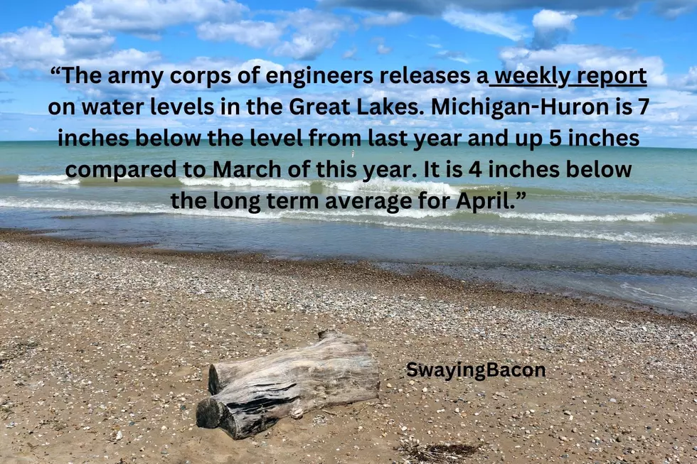 Michigan Reddit Page/canva.com