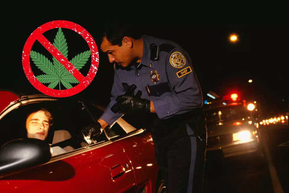 Something Michigan Police Can No Longer Search Your Vehicle For