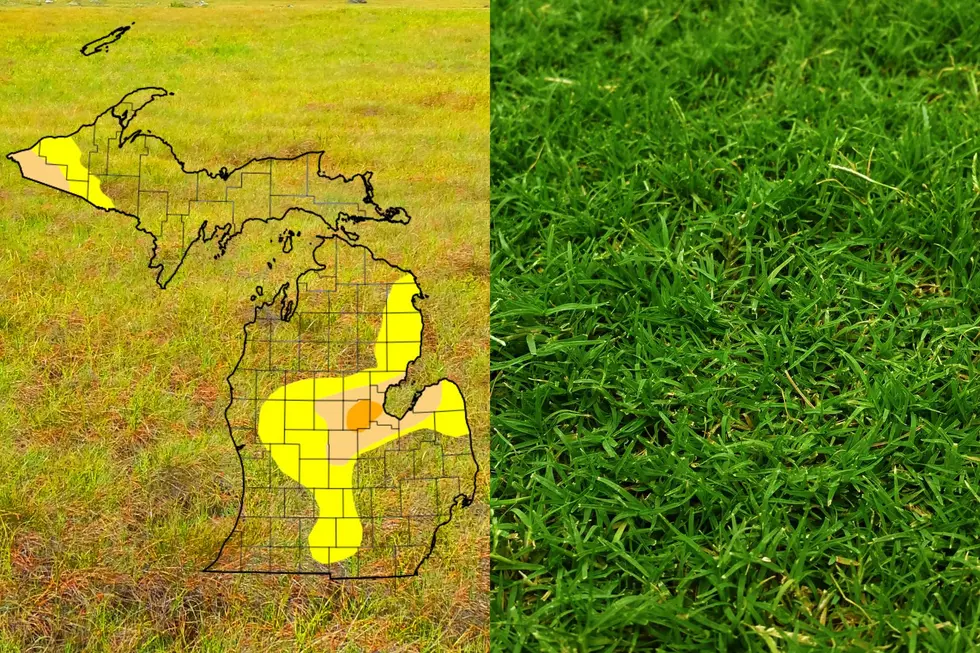 The Unexpected Upside To Michigan’s Insane March Storms