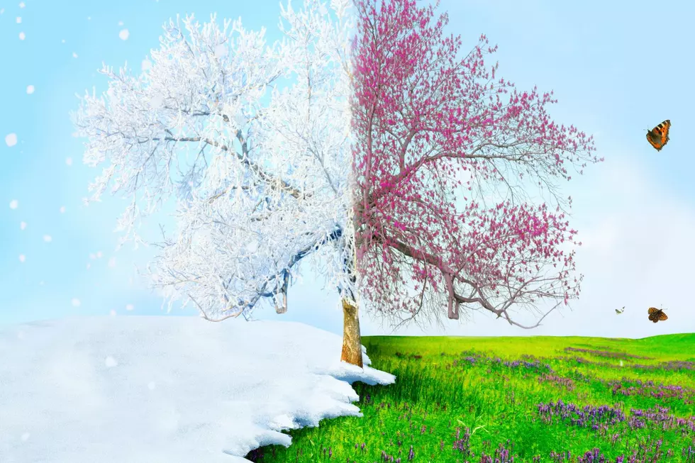What Damage Can A Late Spring Freeze Bring To Michigan?
