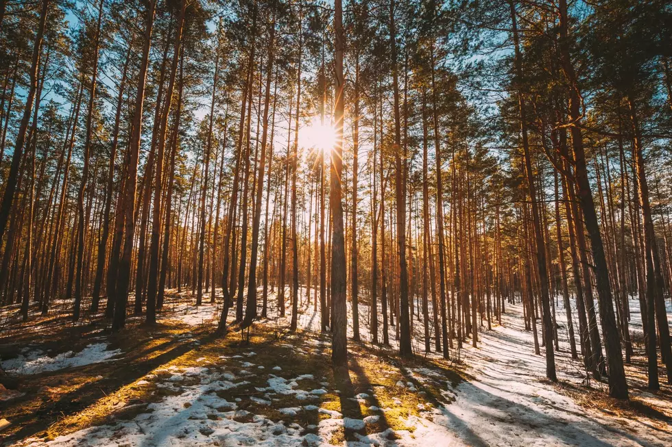 canva.com
