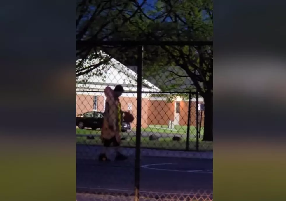 Michigan Man Spotted Shooting Hoops in Hot Dog Costume