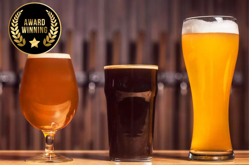 Michigan Breweries Win Big at 2025 World Beer Cup