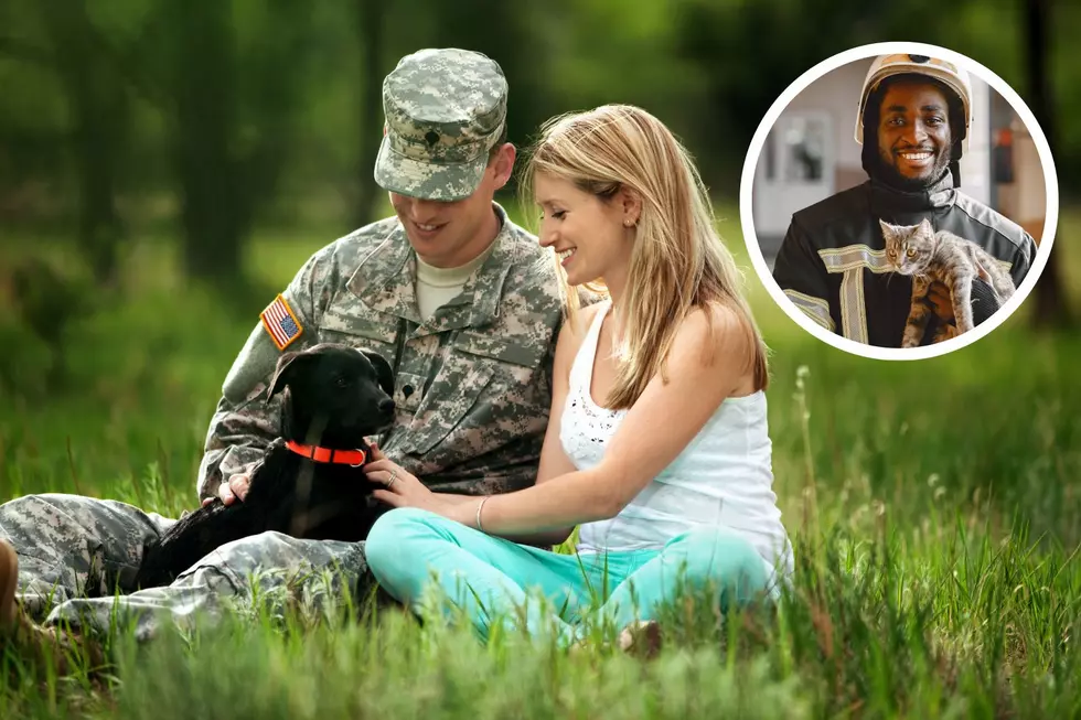Rescues for Heroes: Free Pet Adoption for Vets, Active Military Coming Up in Grand Rapids
