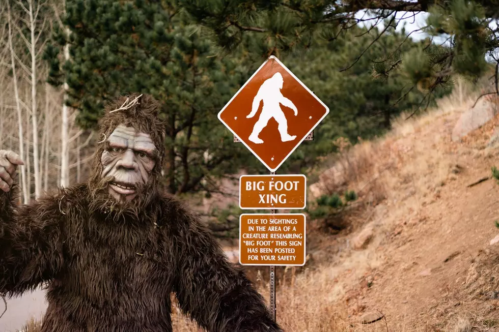 11 Bigfoot Sighting In Grand Rapids, West Michigan