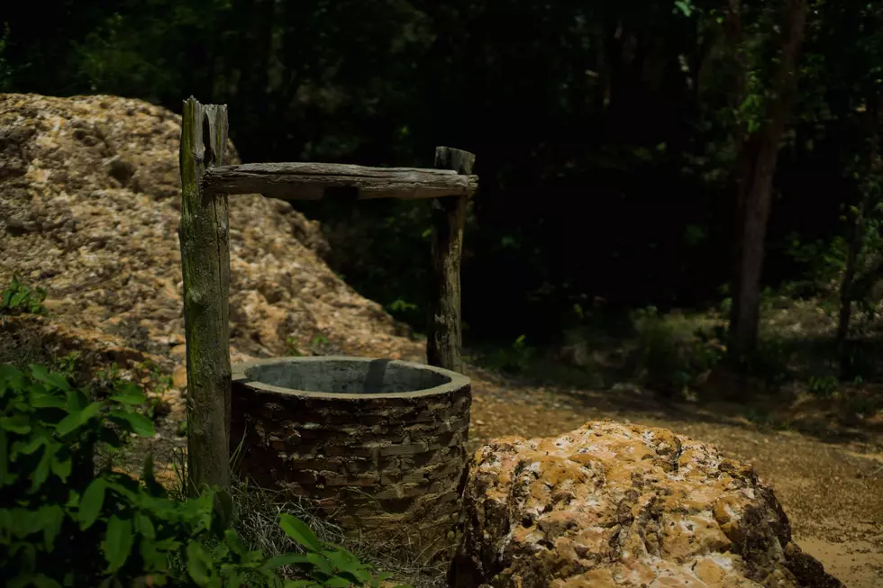 Natural Flowing Artesian Springs Found in Lower Peninsula
