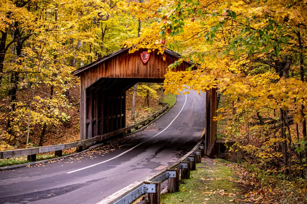 Michigan’s Best Time Of Year: When To View Michigan’s Fall Leaves