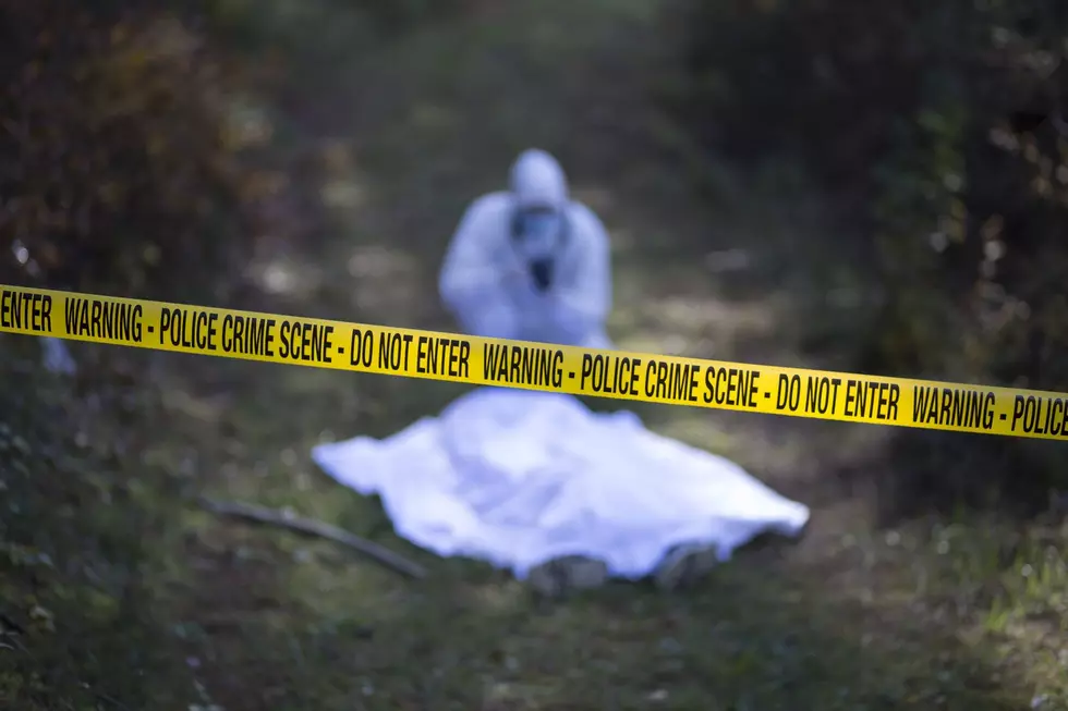 How Many of Michigan’s Murders Go Unsolved?