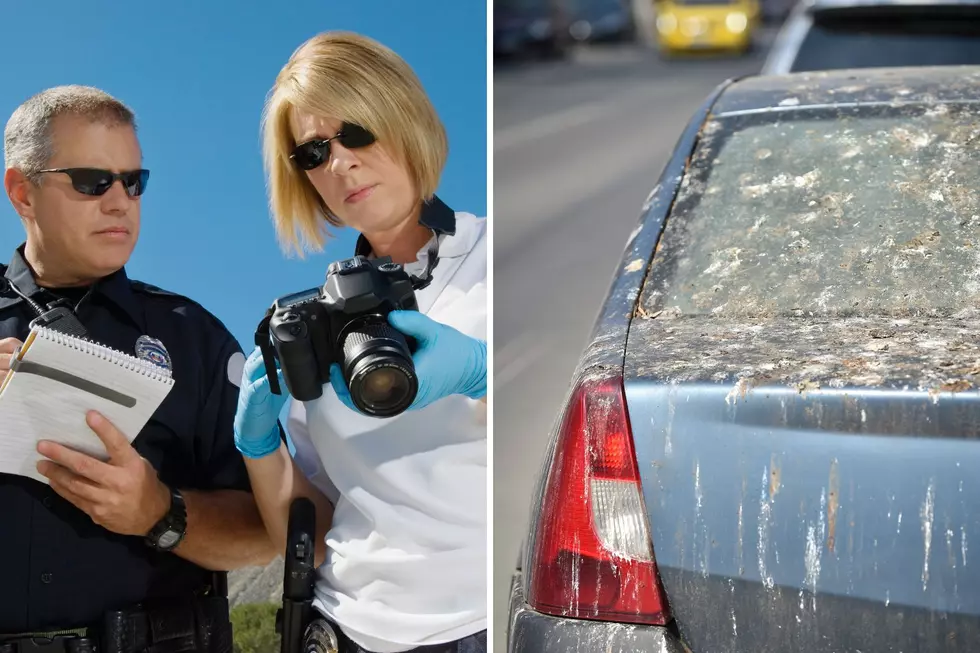 Foul Surprise: Bird Poop Leads to Major Arrest