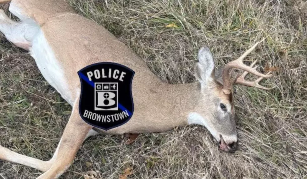 Michigan Reports First Illegal Deer Kill of Firearm Season