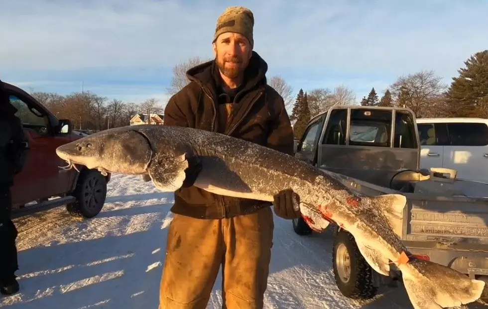 How to Join the Black Lake Sturgeon Fishing Experience
