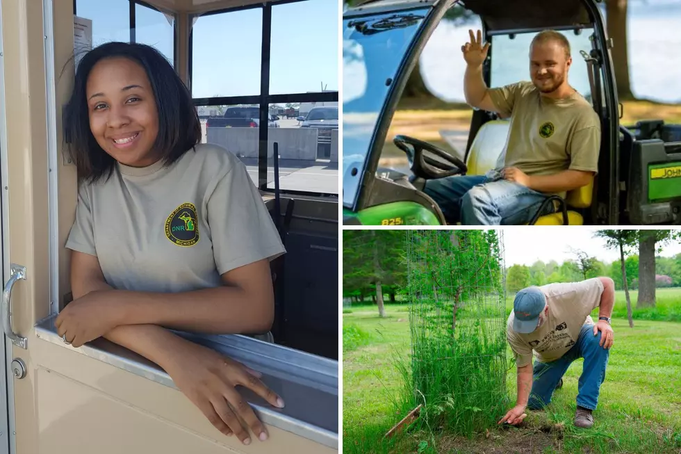 Looking For a Summer Job? Michigan DNR is Hiring More Than 1,300 Park Workers