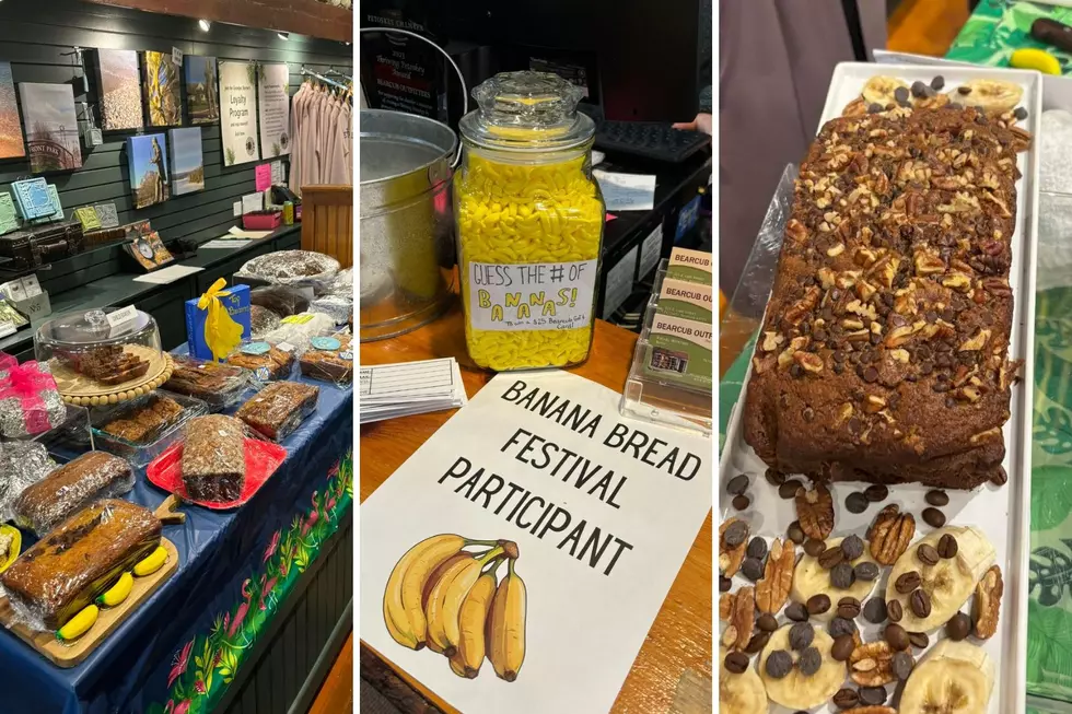 Love Banana Bread? This Michigan Festival Is Back For Round Two In 2026
