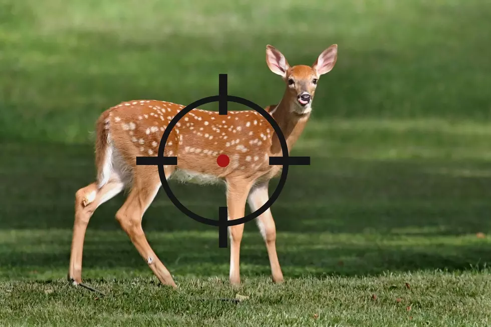 Deer Killed on Michigan Golf Course by Convicted Felon