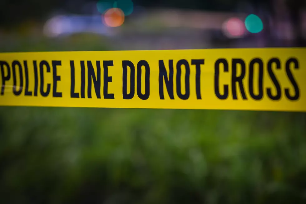Skeletal Remains Found Near US-131 Identified as Missing Plainfield Man