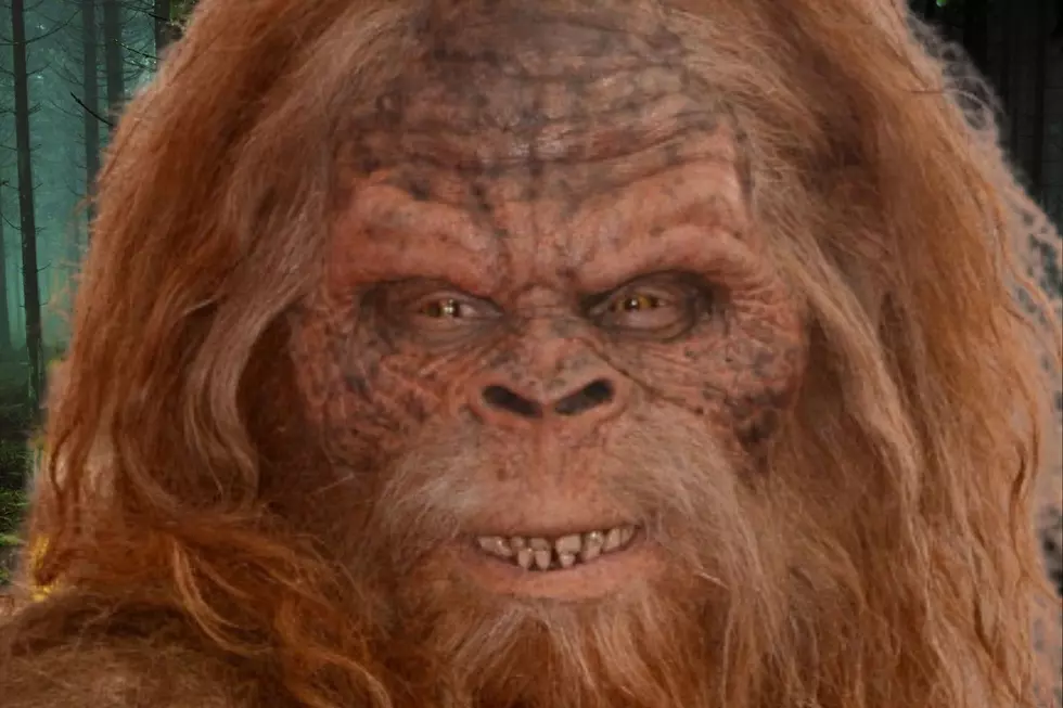 Six New Bigfoot Sightings Reported Near Michigan Line
