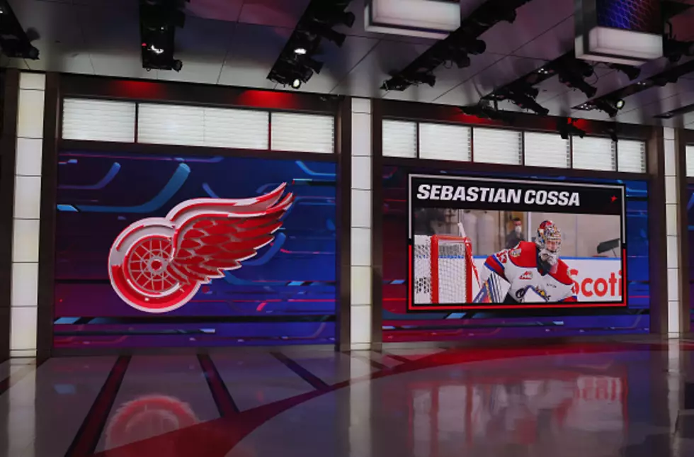 Grand Rapids Griffins Goalie Gets Called Up to Red Wings