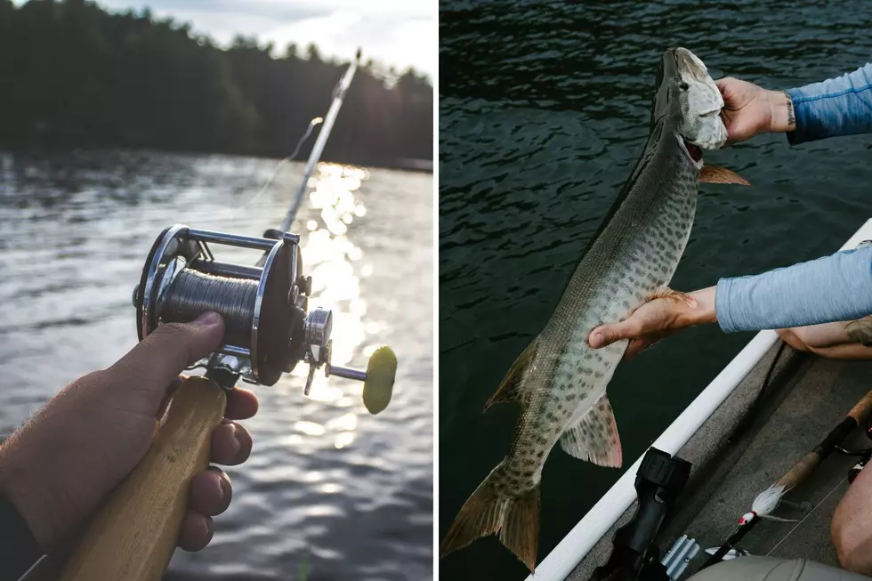 Best Fishing States of 2026: Michigan Makes Top 5